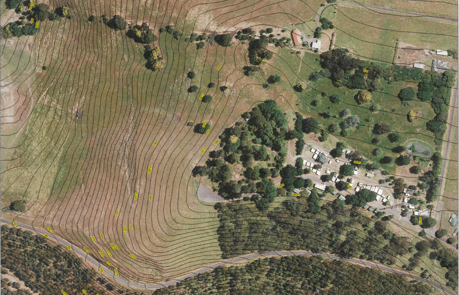 Arboretum redevelopment